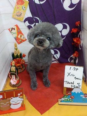 かわいくなった？