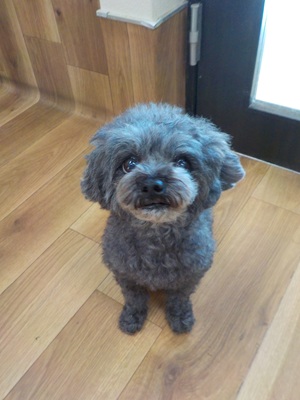 きーたーよー！！