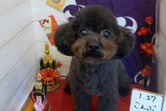 イメチェンしたよ～