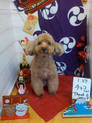 がんばったよ!!