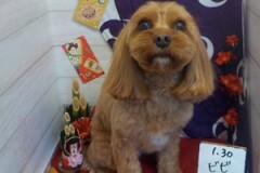 かわいくなった？？