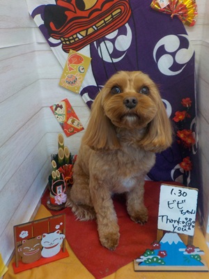 かわいくなった？？