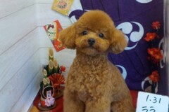 かわいくなったでしょ～