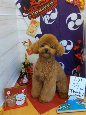 かわいくなったでしょ～