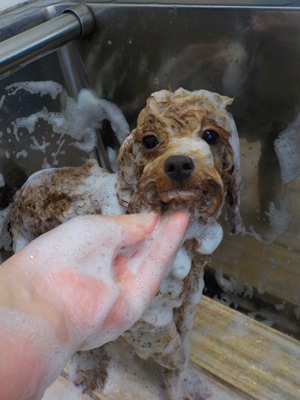 がんばってる…