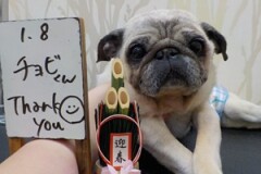 ピカピカなったよ！！