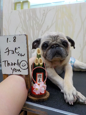 ピカピカなったよ！！