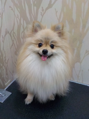 はじめまして～