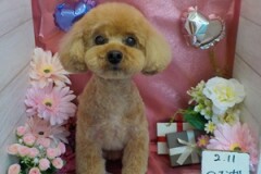 かっこよくなった？