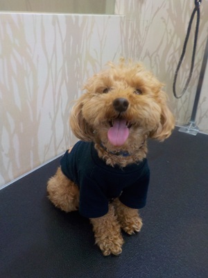 きたよ～～～！！！！