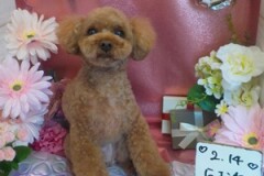 がんばりました…