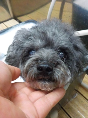 もうはじまってます??