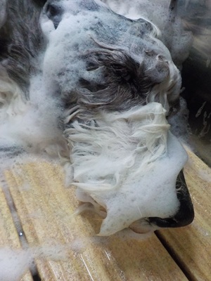 あわあわ○o。.