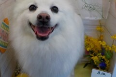 ビックスマイル☺