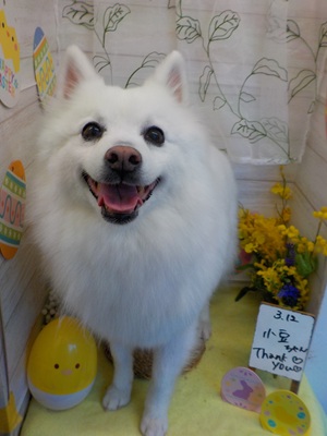 ビックスマイル☺