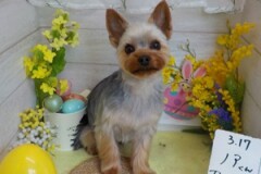 スッキリしました♪