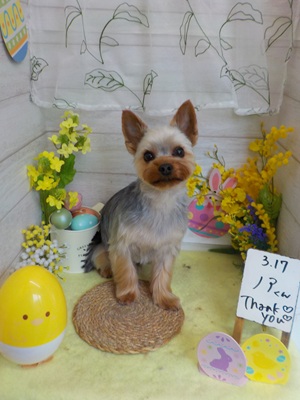 スッキリしました♪