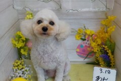 すっきりしたわ～♪