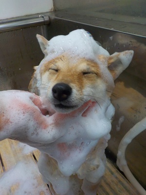 いいきもち・・・