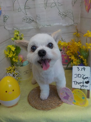 すっきりしたわ～♪