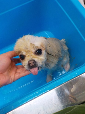 パック中なの!!