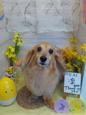 かわいくなった??