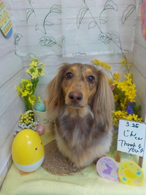 ふっわふっわ☺