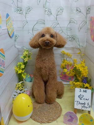 スッキリした♪♪