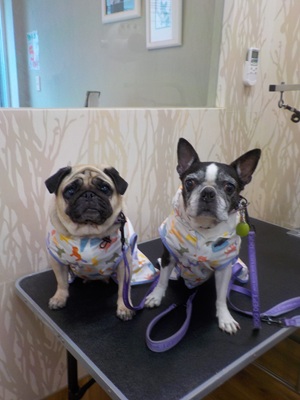 お揃いコーデ☔