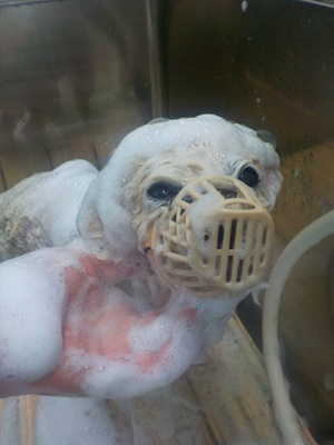 頑張ってるんだよ