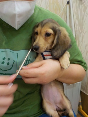 がんばってるよ!