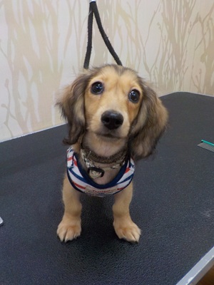 はじめましてっ!!