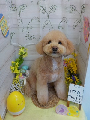 ふわっとかわいくなった？？