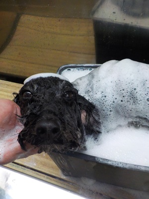 泡風呂～○o。.