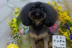 すっきり！！！