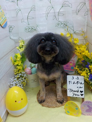 すっきり！！！