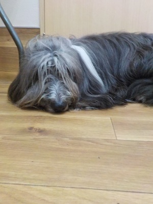 まだねむいよ～