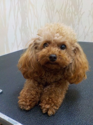 はじめましてっ！！