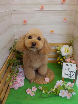 かわいくなった??